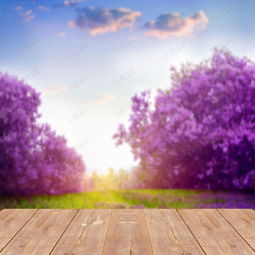 夢幻紫色·無需付費 千庫網編號321326背景圖深度解析與下載指南
